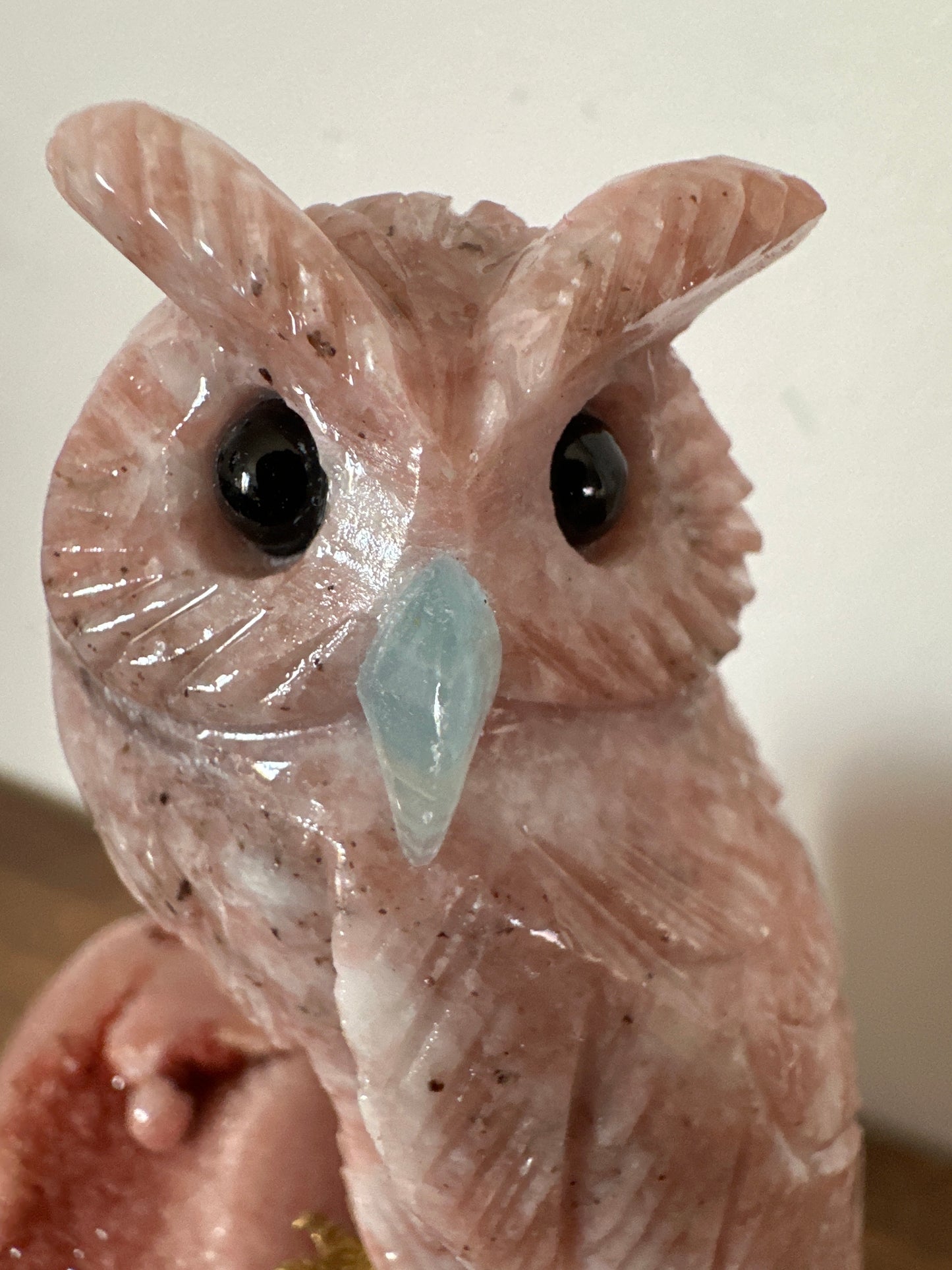 Owl