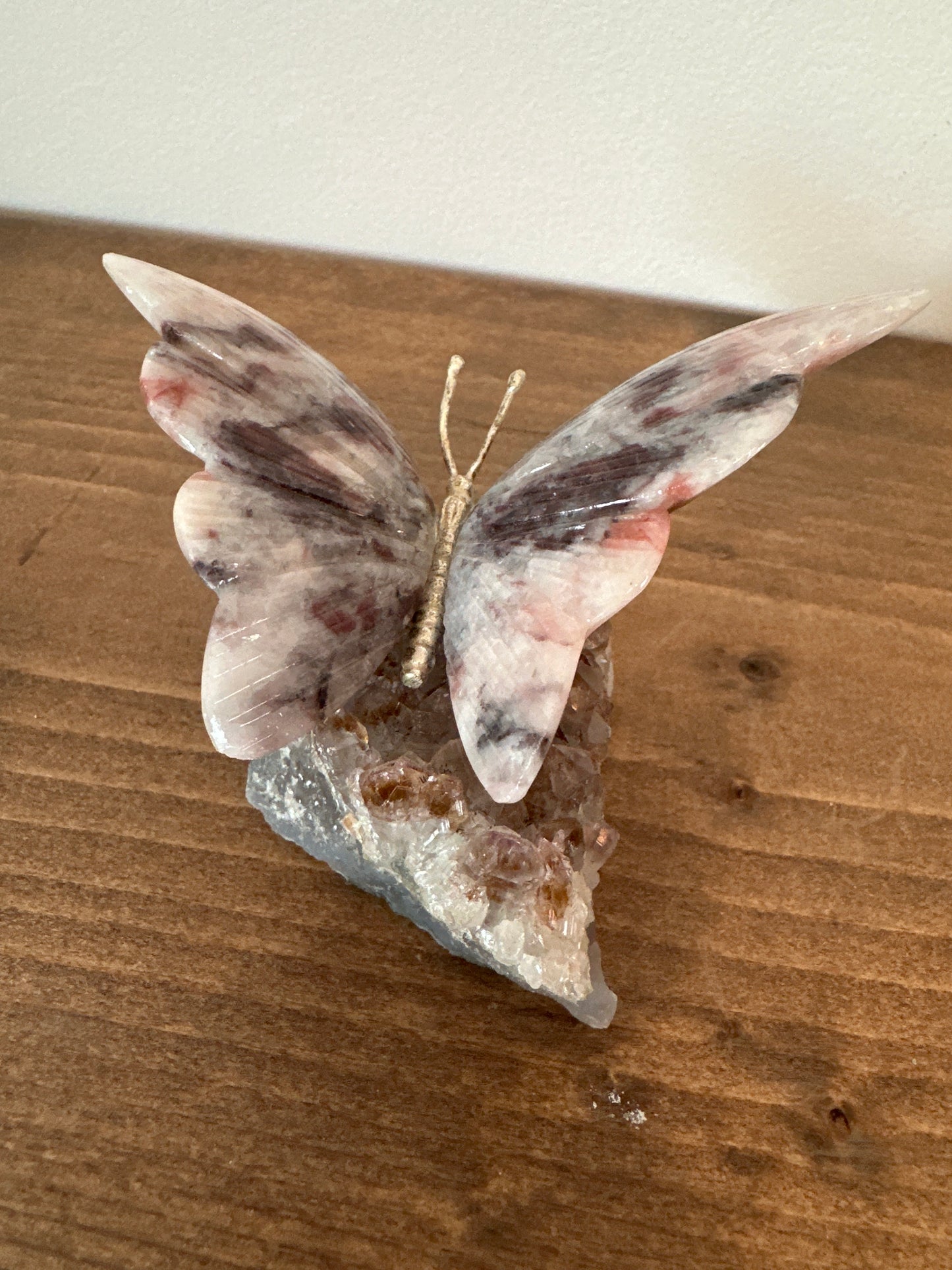 Butterfly on amethyst